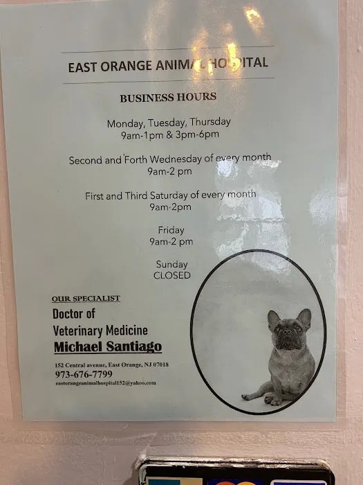 East Orange Animal Hospital Picture 3