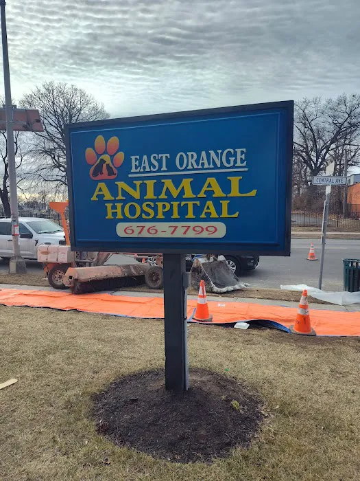 East Orange Animal Hospital Picture 7