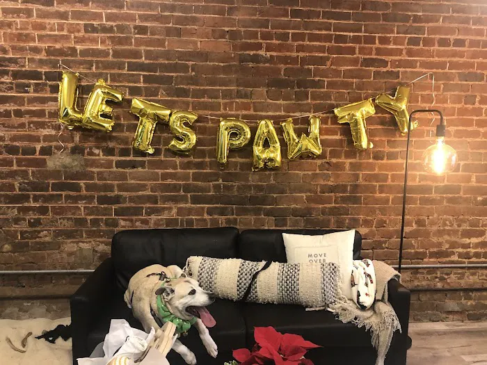 Local Pup Picture 3