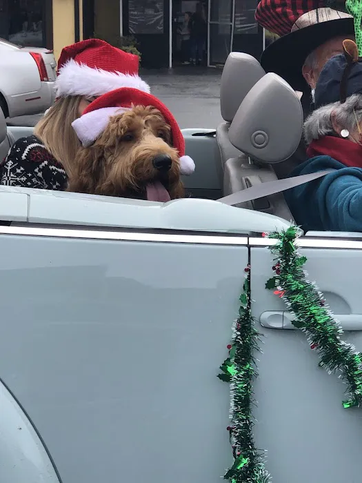 Local Pup Picture 8