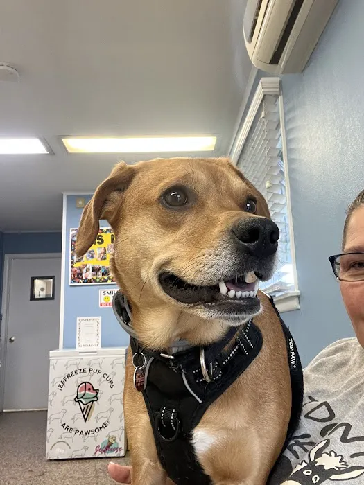 Stafford Veterinary Hospital Picture 8