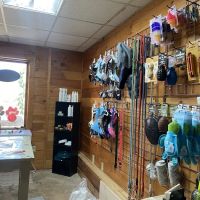 Lucky Lyric Boutique ico