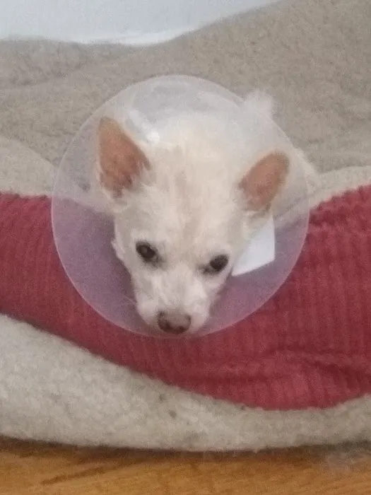 Manahawkin Veterinary Hospital Picture 1