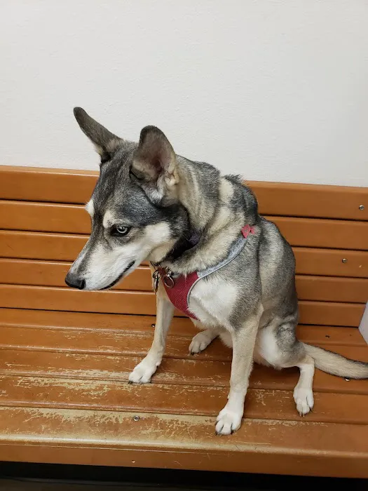 Banfield Pet Hospital Picture 8