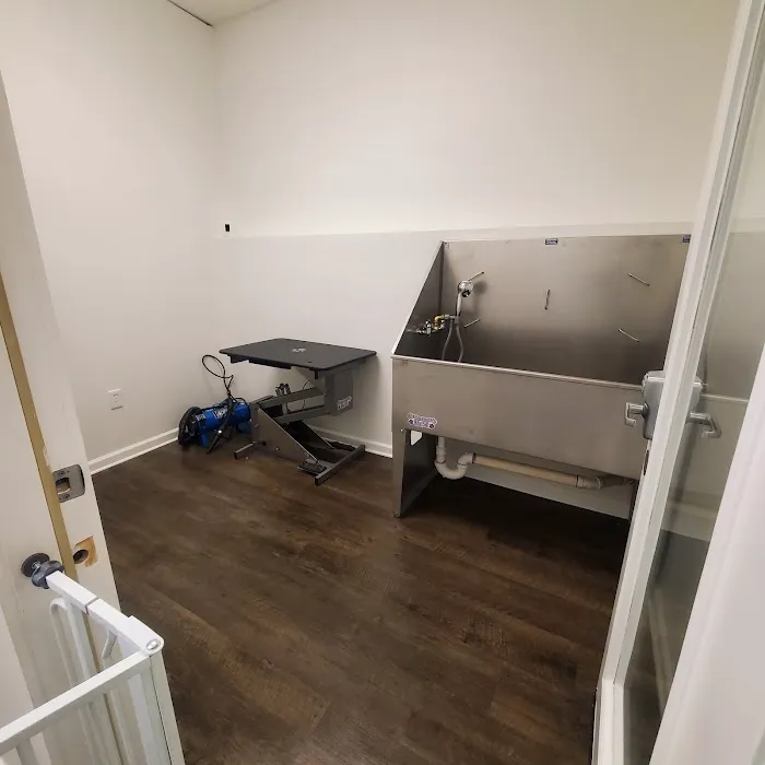 Jazzy Pawz Pet Care Suites Picture 6