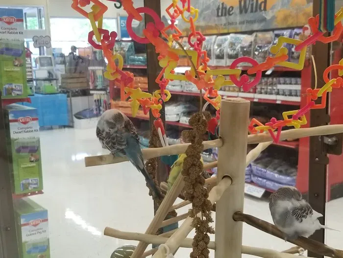 Petco Picture 8