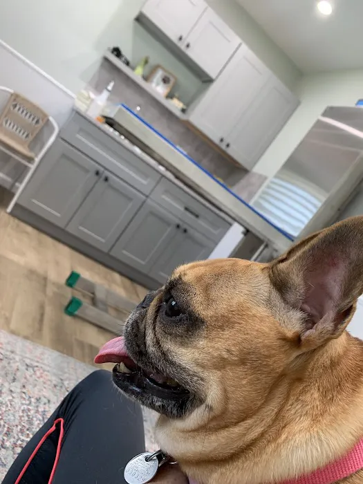 Ocean Acres Veterinary Hospital Picture 7