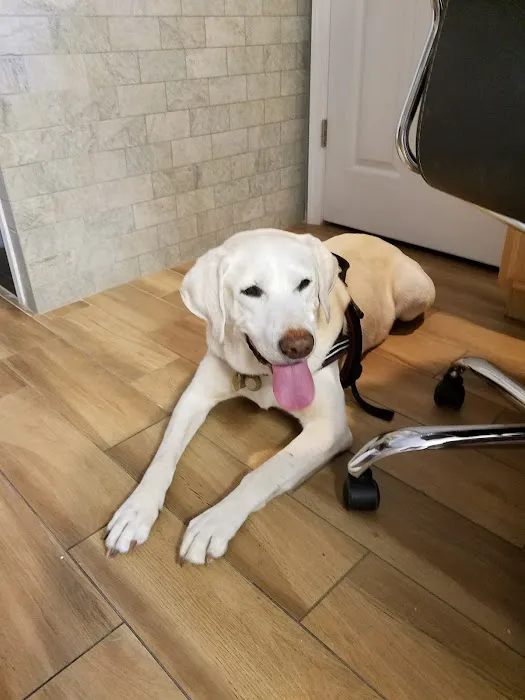 Ocean Acres Veterinary Hospital Picture 1