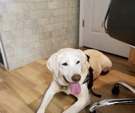 Ocean Acres Veterinary Hospital