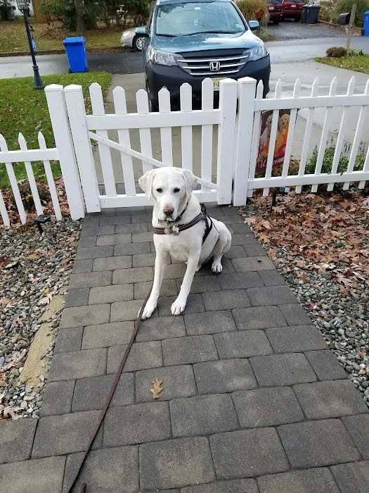 Ocean Acres Veterinary Hospital Picture 4