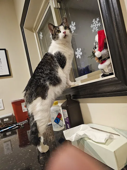 Eagleswood Veterinary Hospital Picture 1