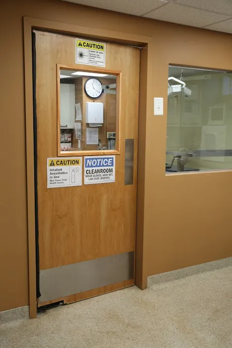 Dongan Hills Veterinary Practice Picture 8