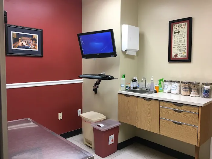 Dongan Hills Veterinary Practice Picture 5