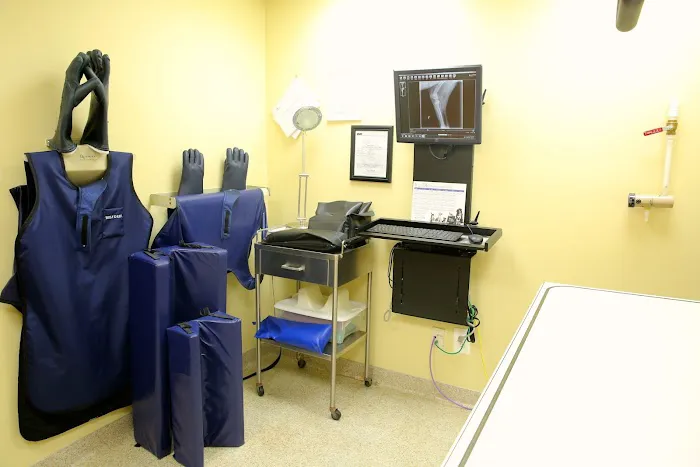Dongan Hills Veterinary Practice Picture 2