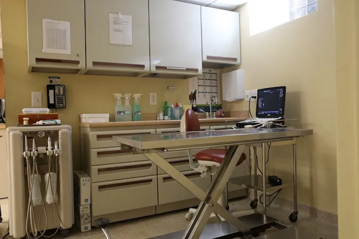 Dongan Hills Veterinary Practice Picture 3