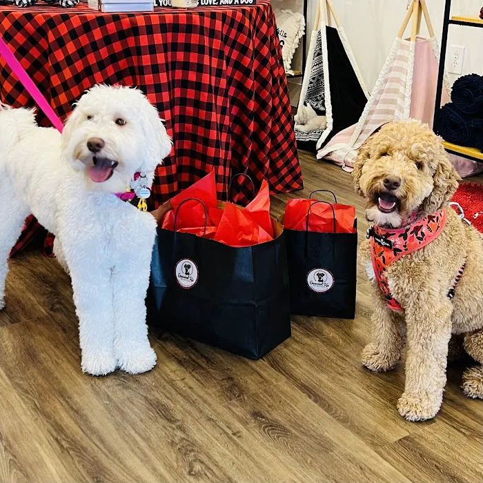 Gussied Up Pet Boutique Picture 5