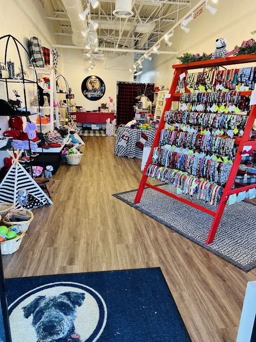 Gussied Up Pet Boutique Picture 1