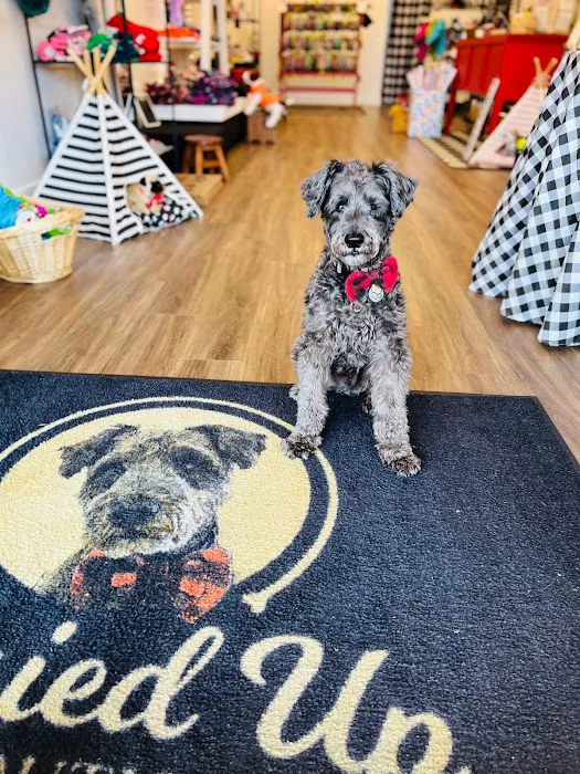Gussied Up Pet Boutique Picture 9