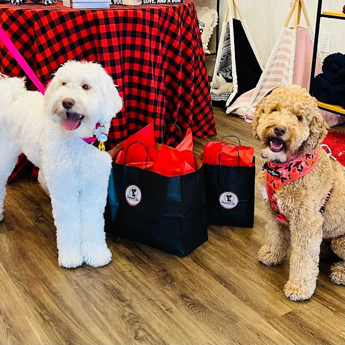 Gussied Up Pet Boutique Picture 4