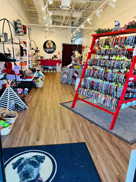 Gussied Up Pet Boutique Picture 8