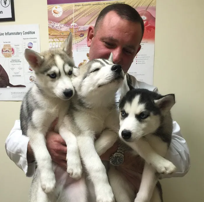 Hylan Animal Hospital Picture 5