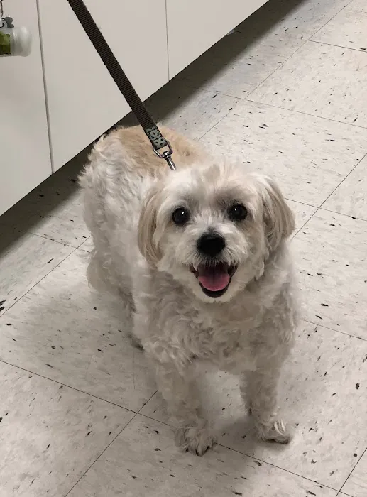 Hylan Animal Hospital Picture 7