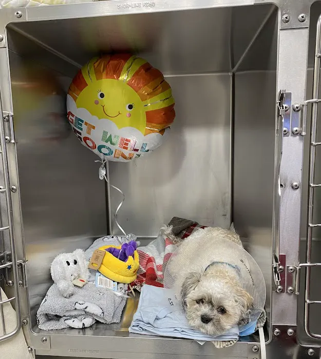 Hylan Animal Hospital Picture 4