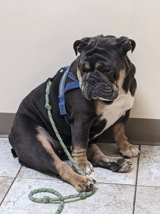 Hylan Animal Hospital Picture 9