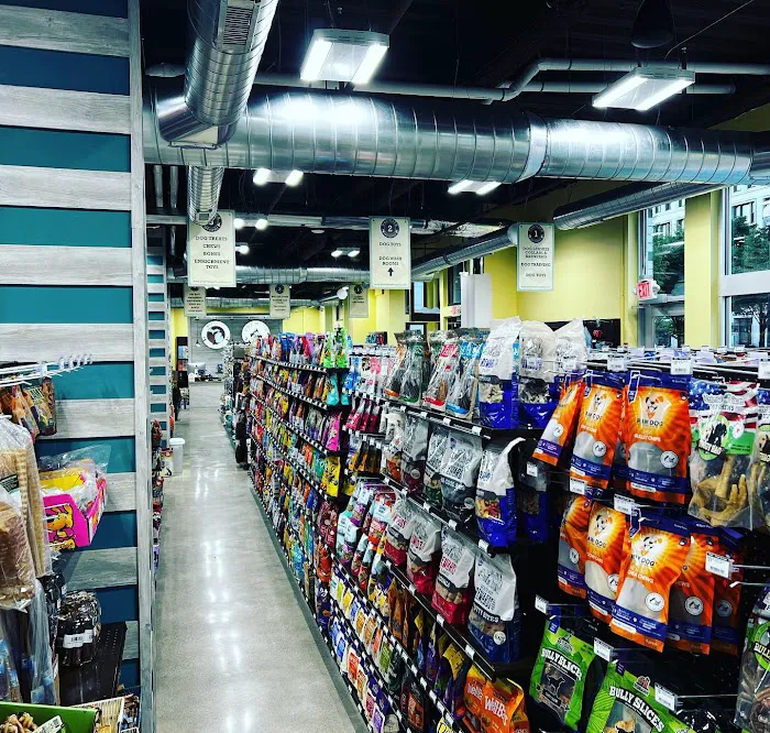 Premier Pet Supply Picture 7