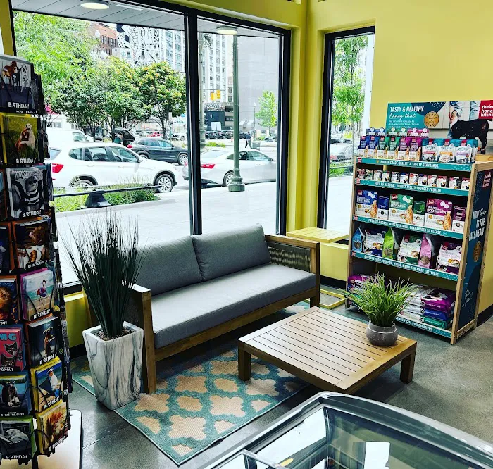 Premier Pet Supply Picture 9