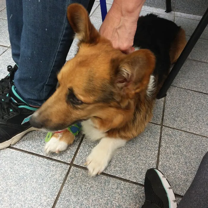 CompleteCare Veterinary Center Picture 5