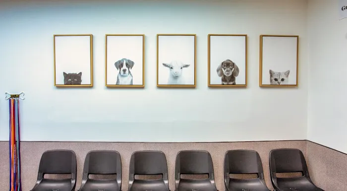 CompleteCare Veterinary Center Picture 4
