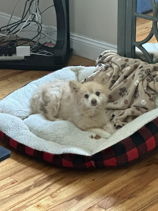 CompleteCare Veterinary Center Picture 1