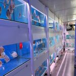 Amazing Discus Aquarium (James Aquarium)