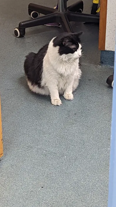 Bayonne Veterinary Medical Picture 3