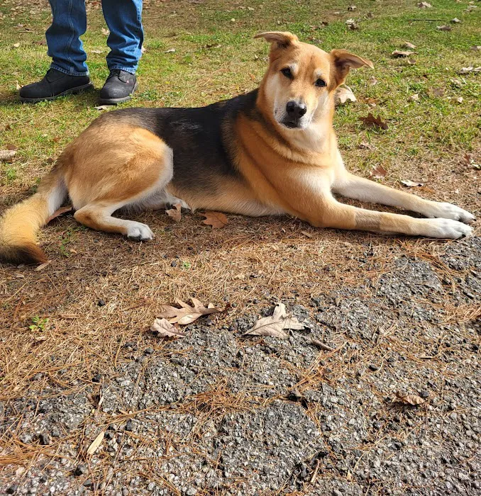 Dr. T Vet Care Picture 9
