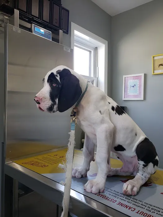 Dr. T Vet Care Picture 3