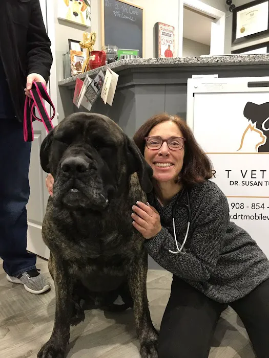 Dr. T Vet Care Picture 7