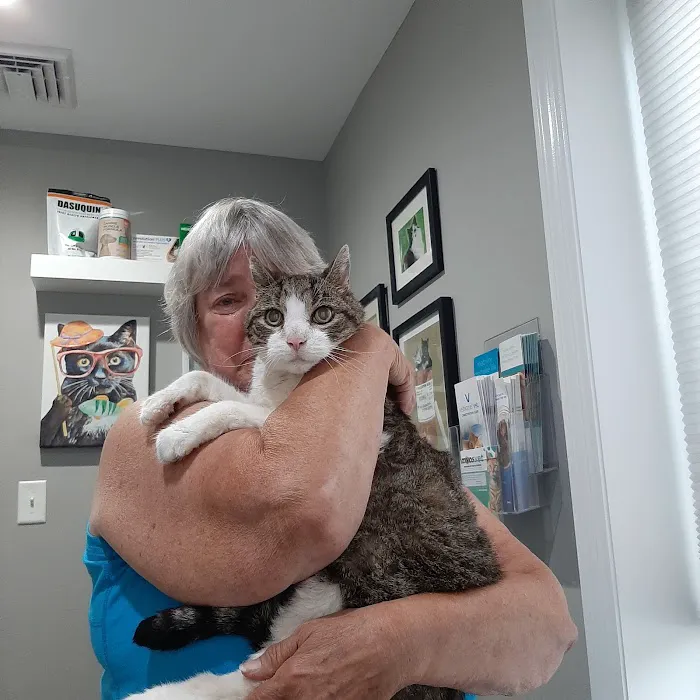 Dr. T Vet Care Picture 1