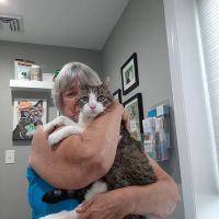 Dr. T Vet Care​ ​ ico