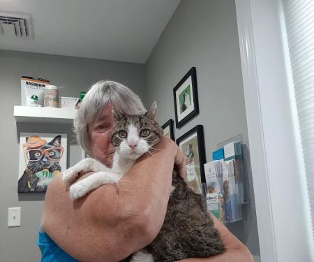 Dr. T Vet Care 