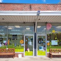 North Warren Animal Hospital ico