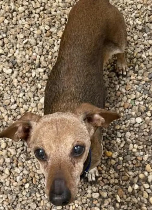 North Warren Animal Hospital Picture 6