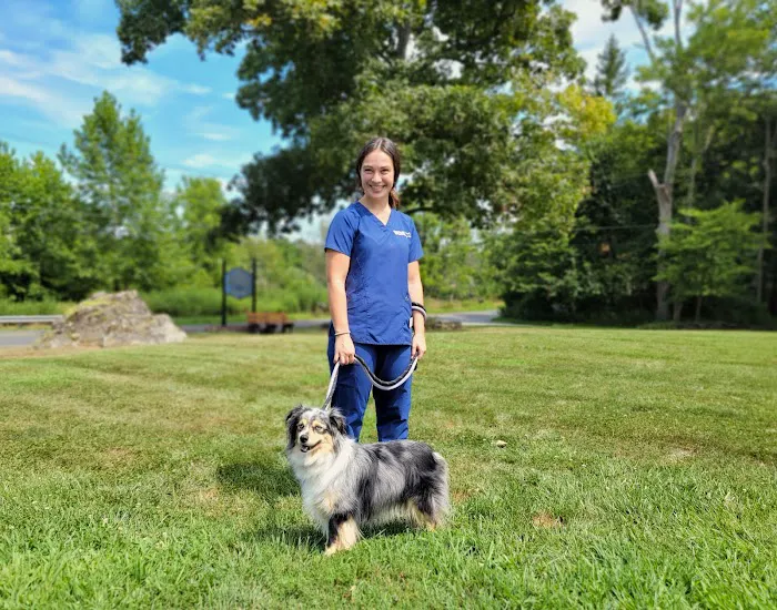 VCA Blairstown Animal Hospital Picture 4