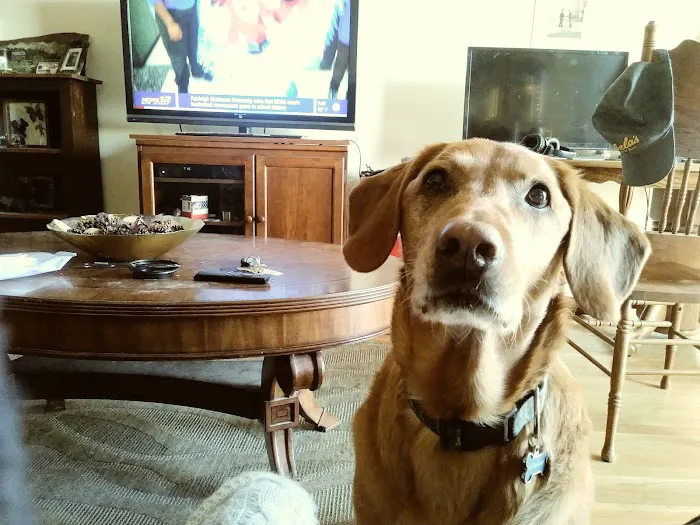 VCA Blairstown Animal Hospital Picture 10