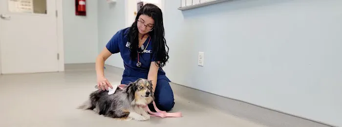 VCA Blairstown Animal Hospital Picture 3