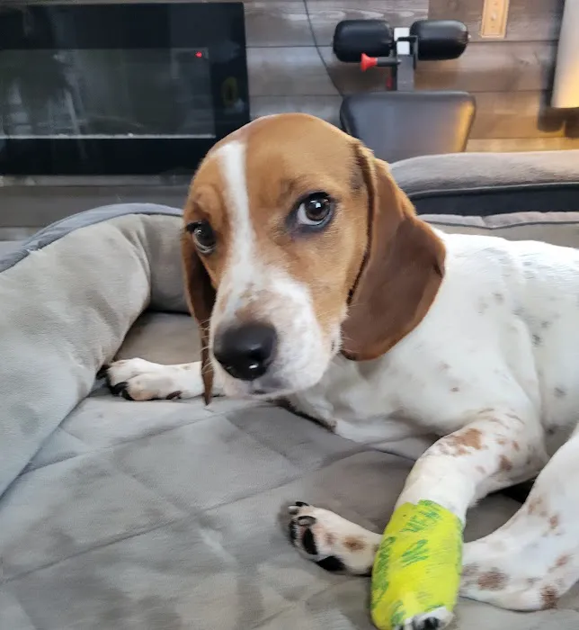 VCA Blairstown Animal Hospital Picture 5