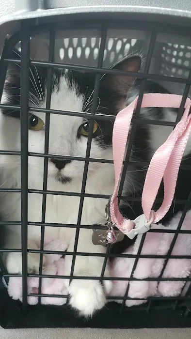 VCA Blairstown Animal Hospital Picture 8