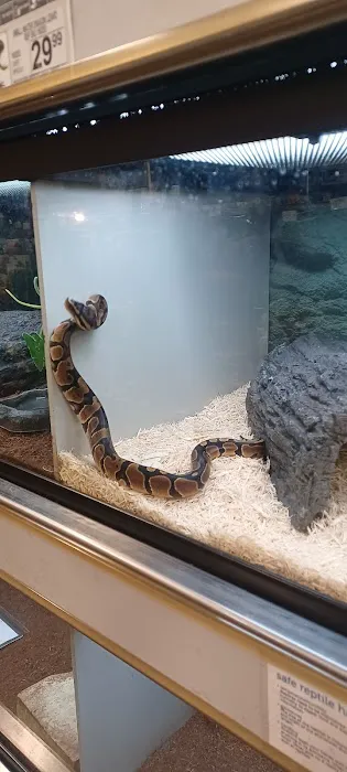 Petco Picture 4