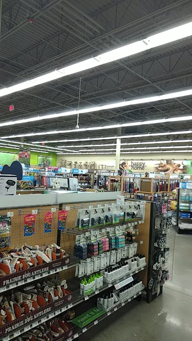 Petco Picture 3